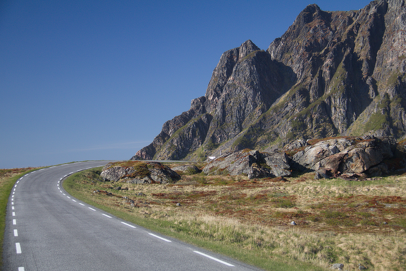 [Image: 80D3125.jpg]